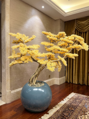 KÜRE SARI LÜX BONSAİ