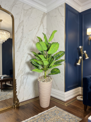 24'LU DEMET MONSTERA (YEŞİL)